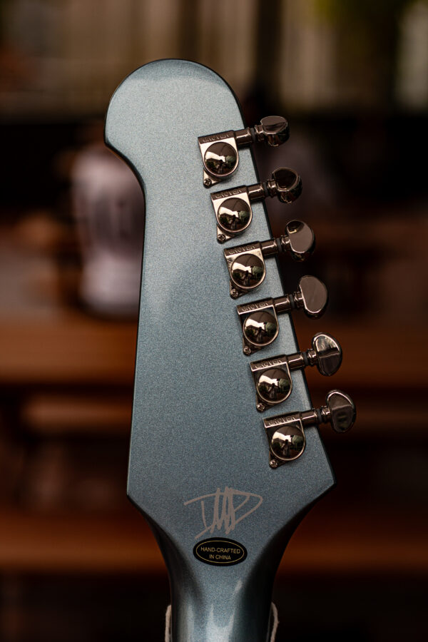 Epiphone DG-335 Dave Grohl Signature - Image 10