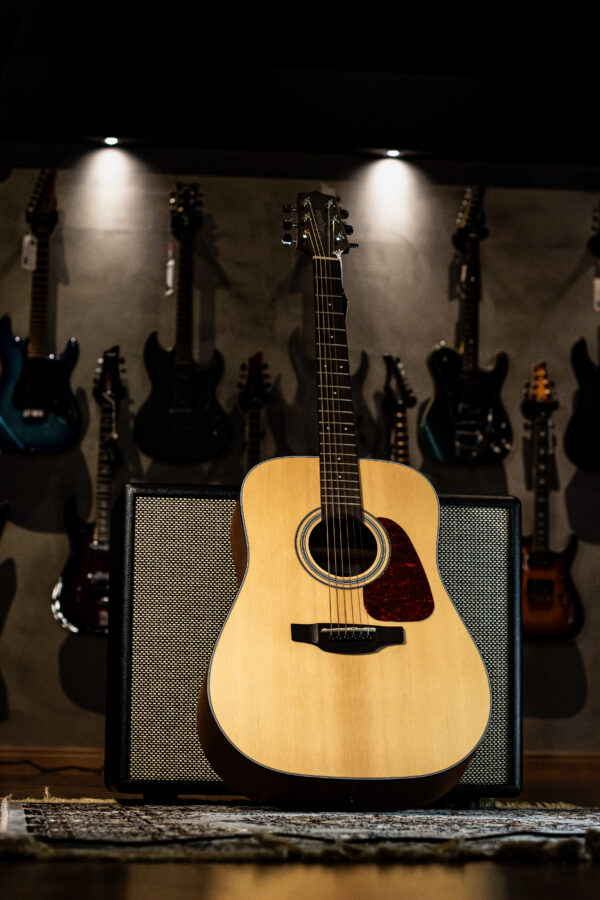 Takamine GD10CE