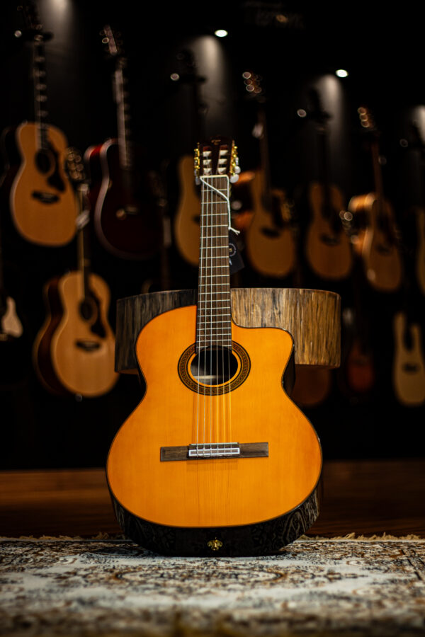 Takamine GC5CE