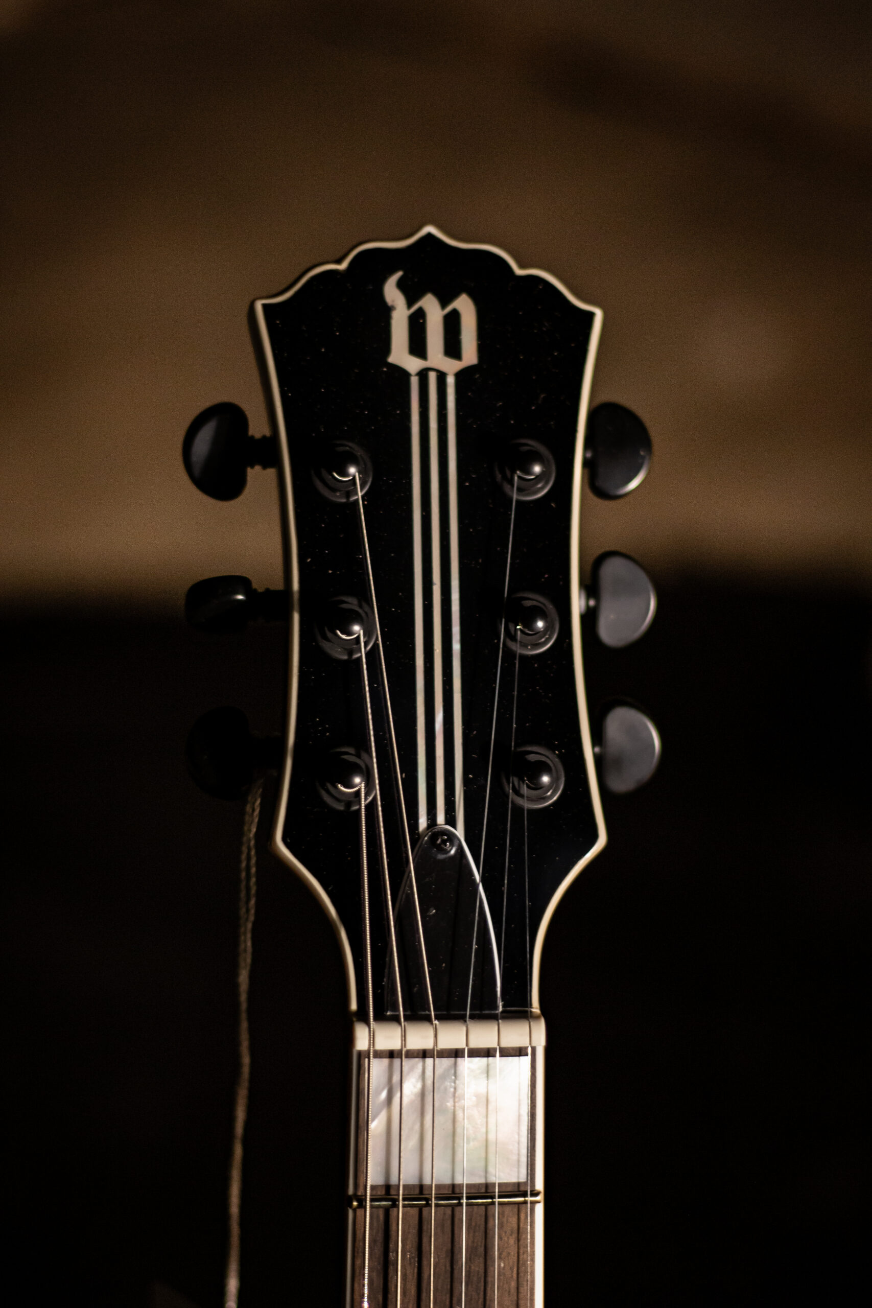 Wylde Audio Schecter Barbarian Psychic Bullseye Grim Green - Imagem 6