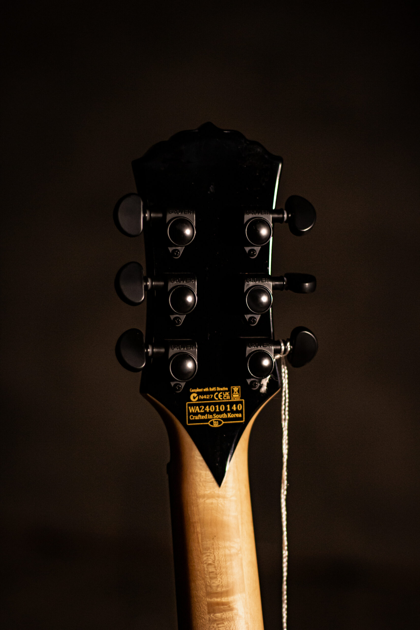 Wylde Audio Schecter Barbarian Psychic Bullseye Grim Green - Imagem 5