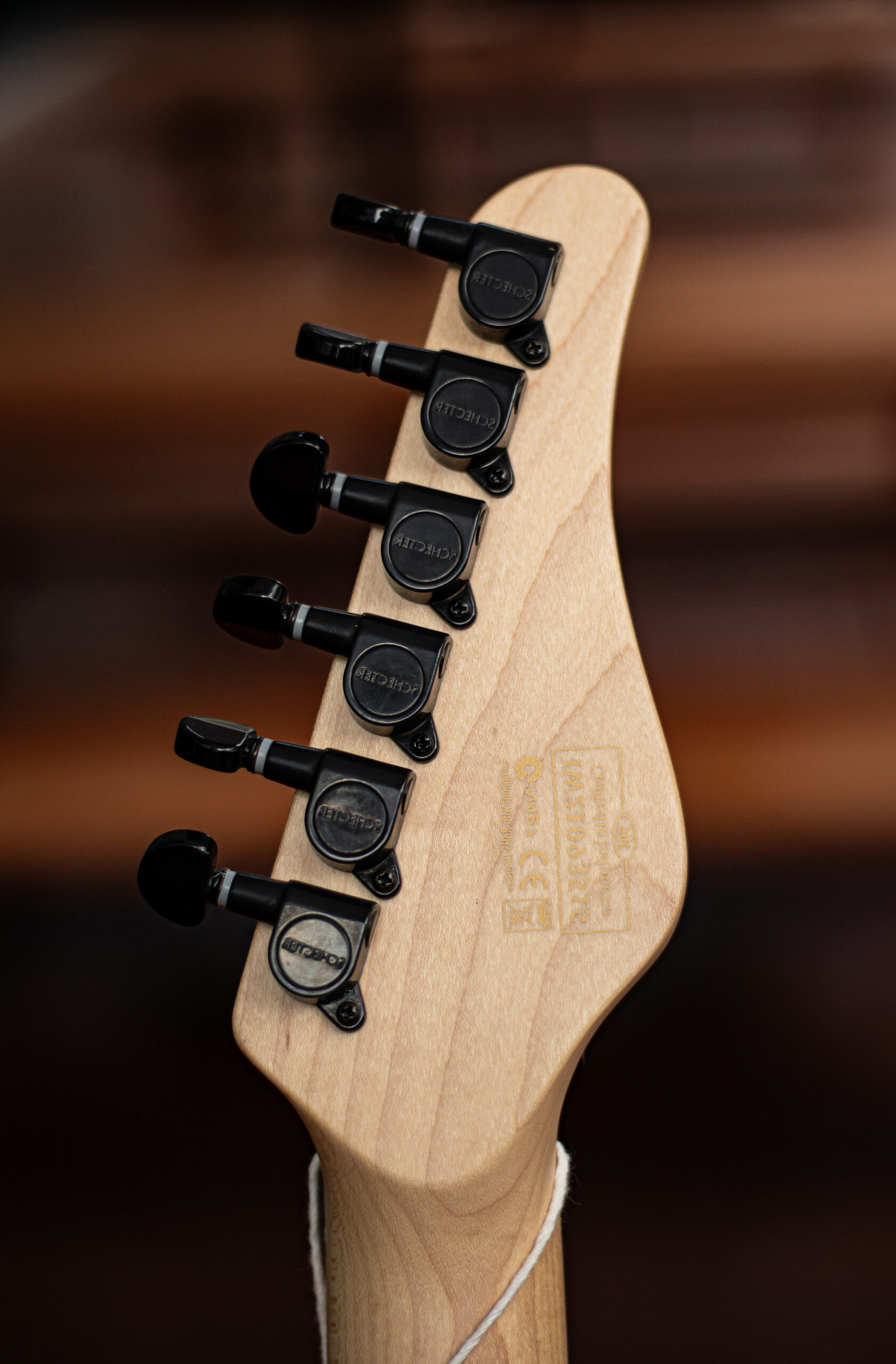 Schecter Sun Valley Super Shredder FR S - Imagem 5