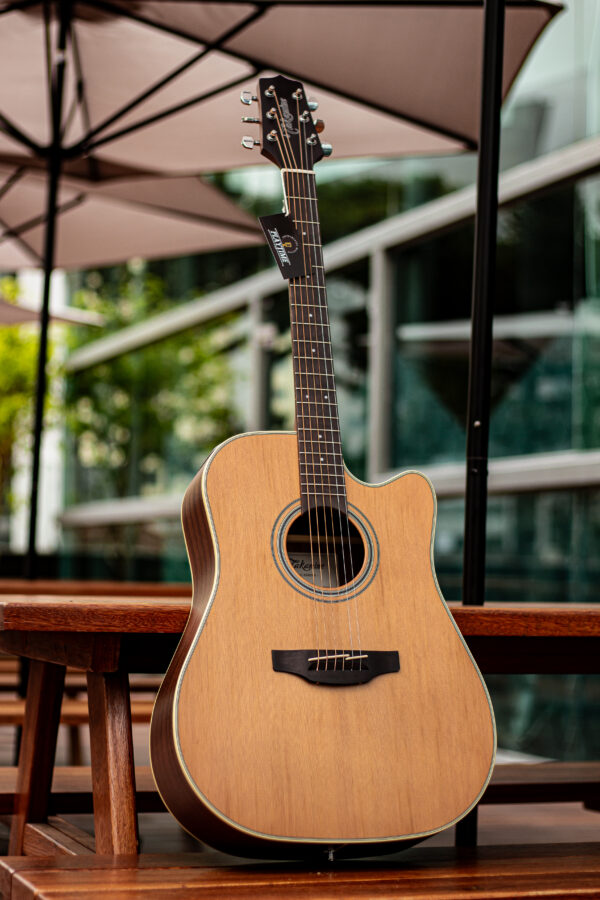 Takamine GD51CE