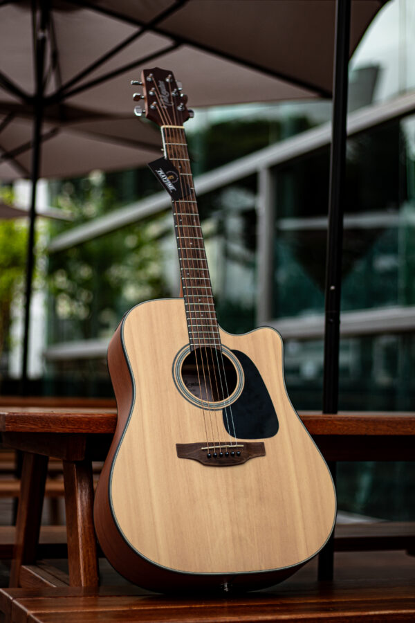 Takamine GD12CE NS