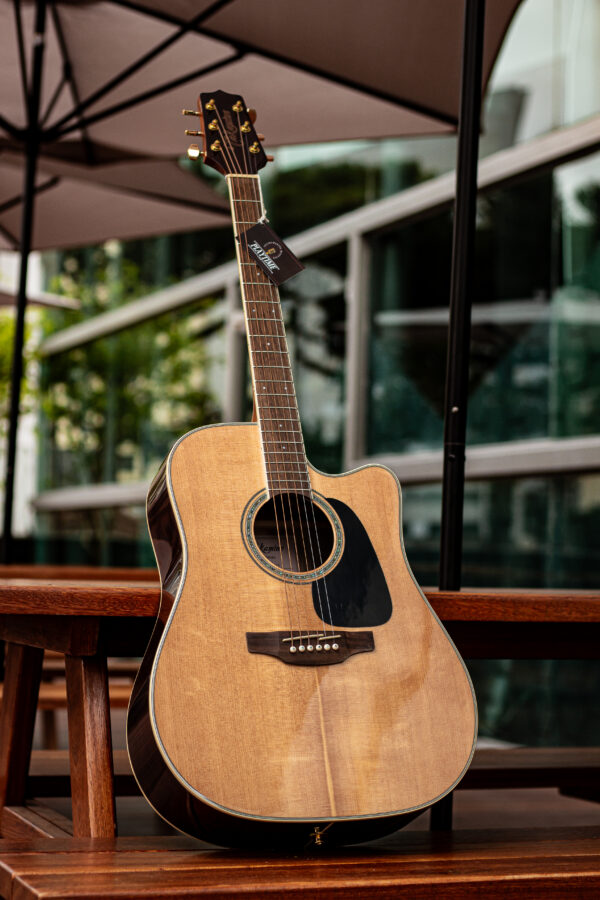 Takamine GD51CE