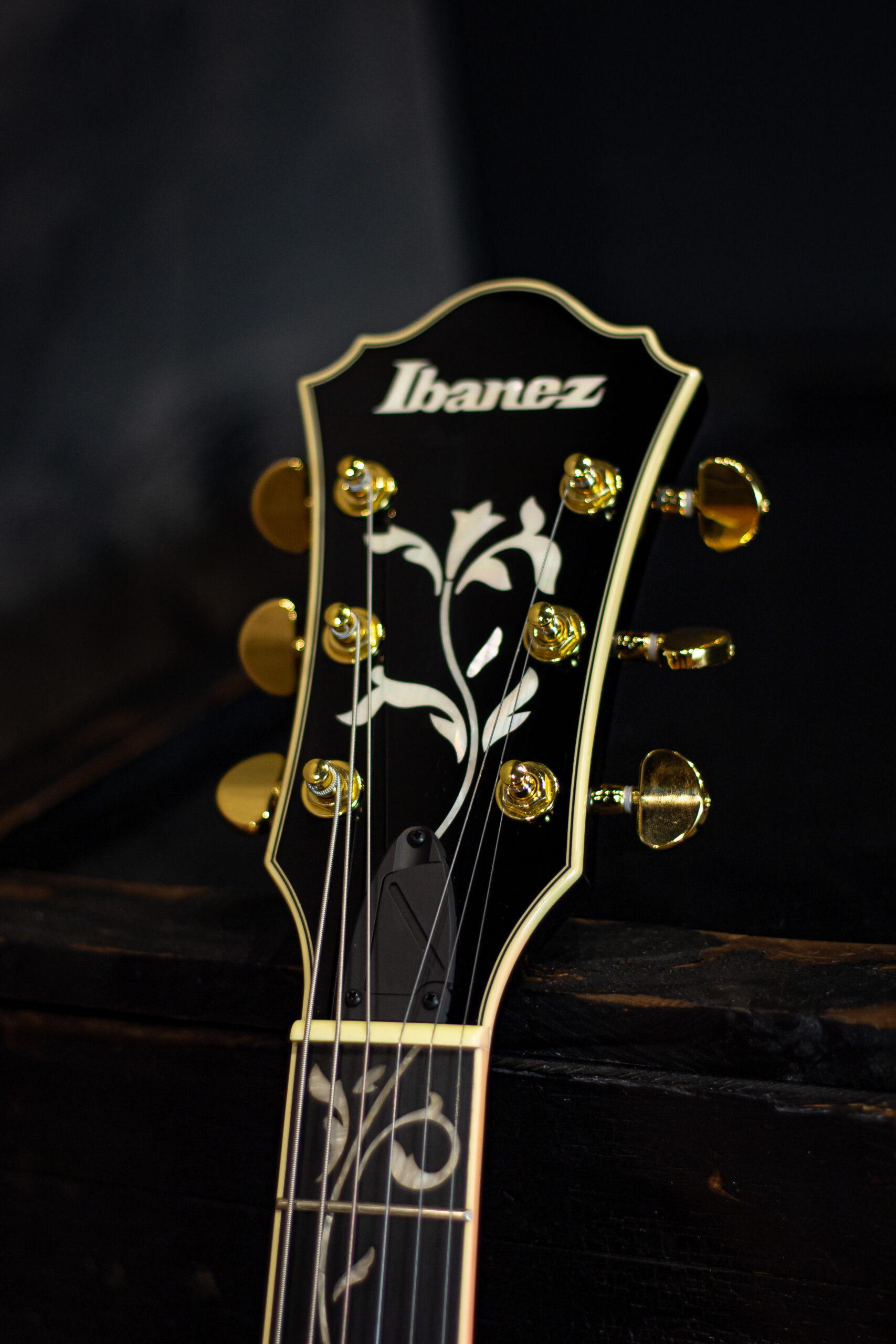 Ibanez AS93SP - Imagem 4
