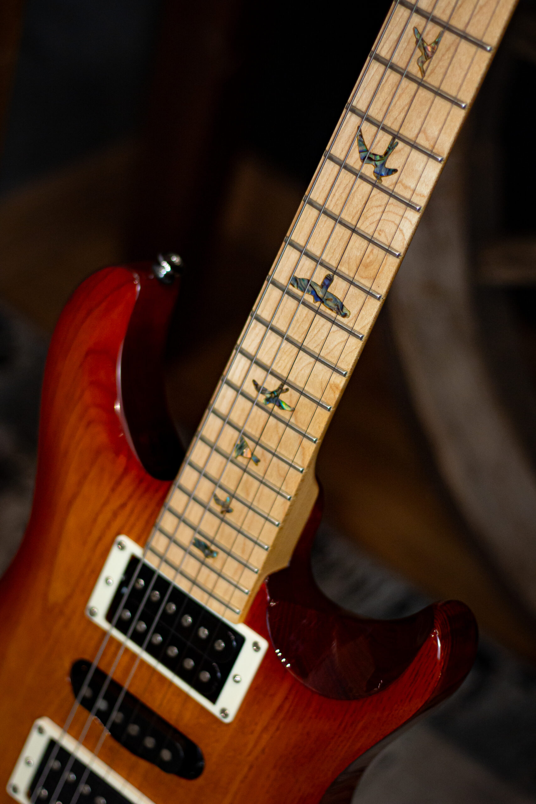 PRS SE Swamp Ash Special (Seminovo) - Imagem 3