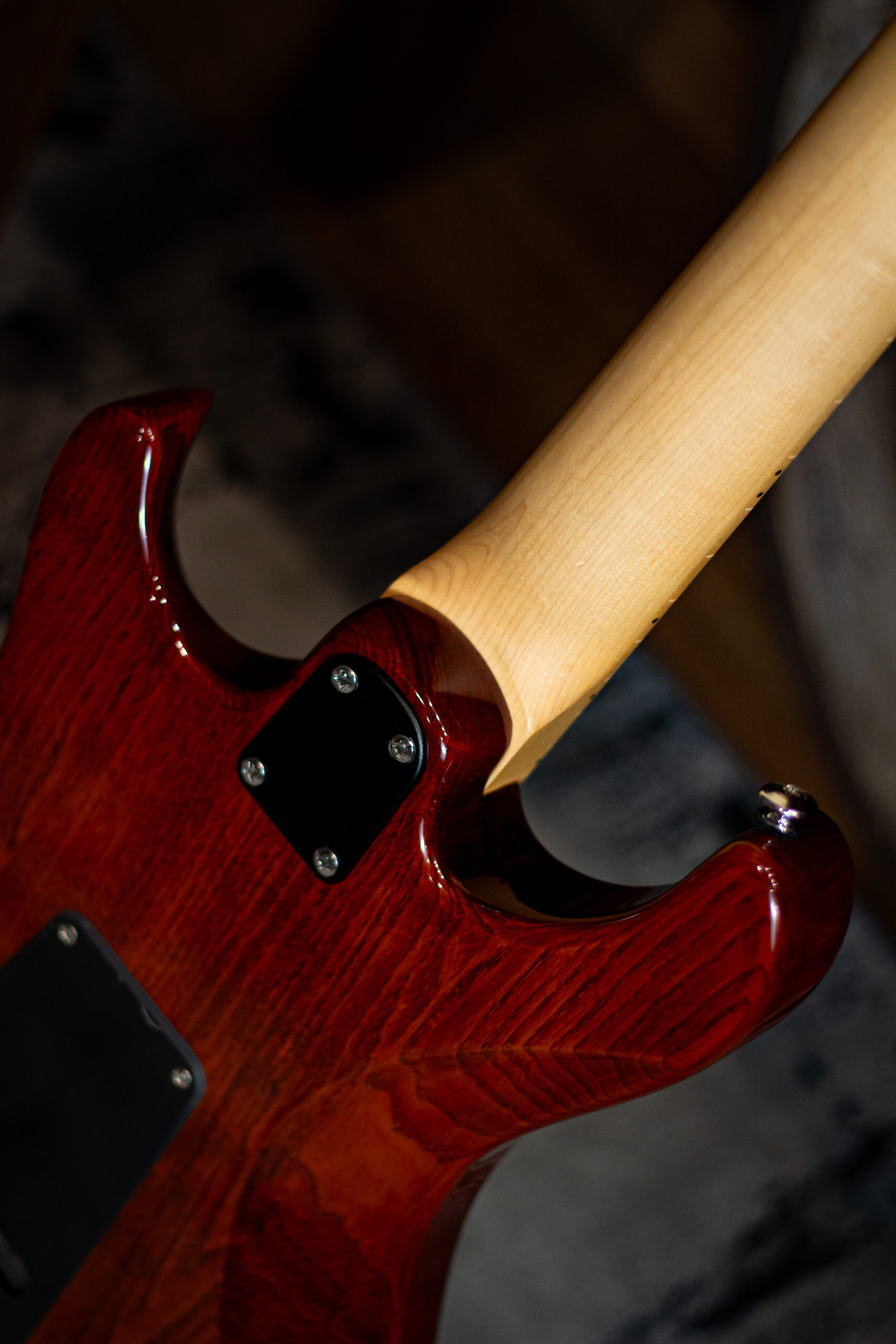 PRS SE Swamp Ash Special (Seminovo) - Imagem 6