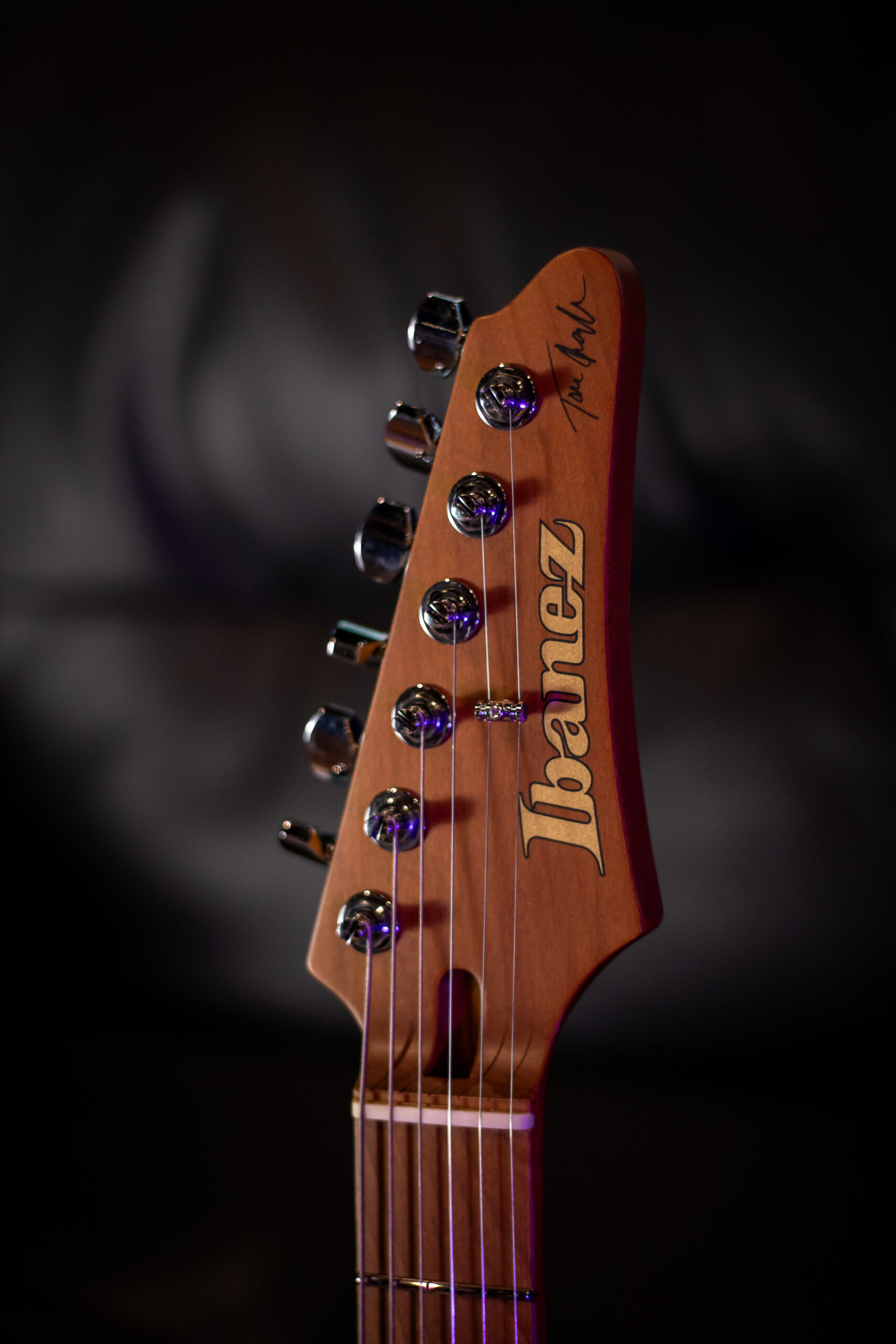 Ibanez TQM1 Prestige Signature Tom Quayle - Imagem 4