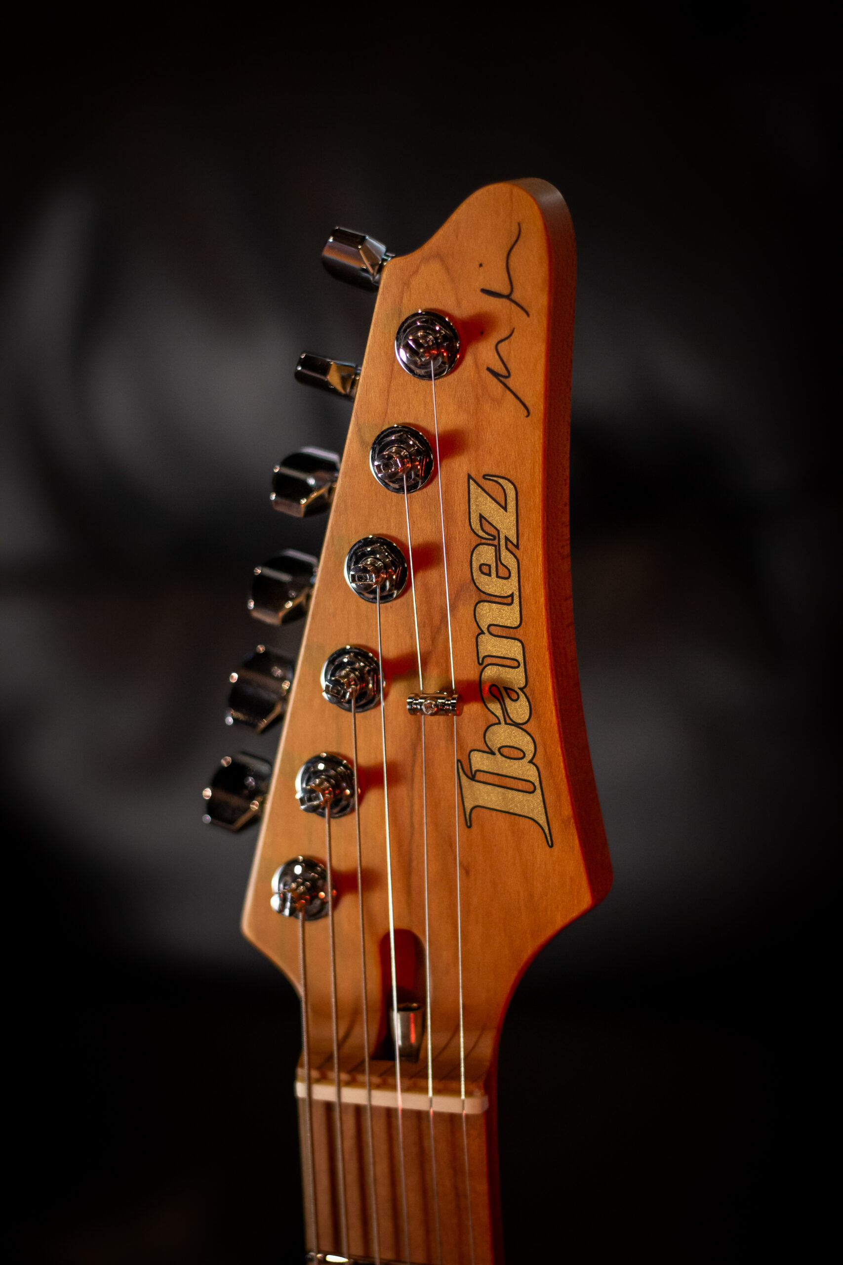 Ibanez MM1 Signature Martin Miller - Imagem 4